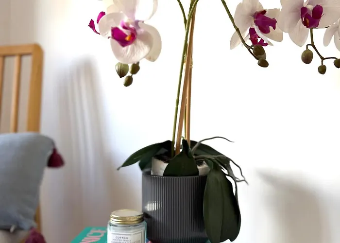 Casa Aurora Trafaria